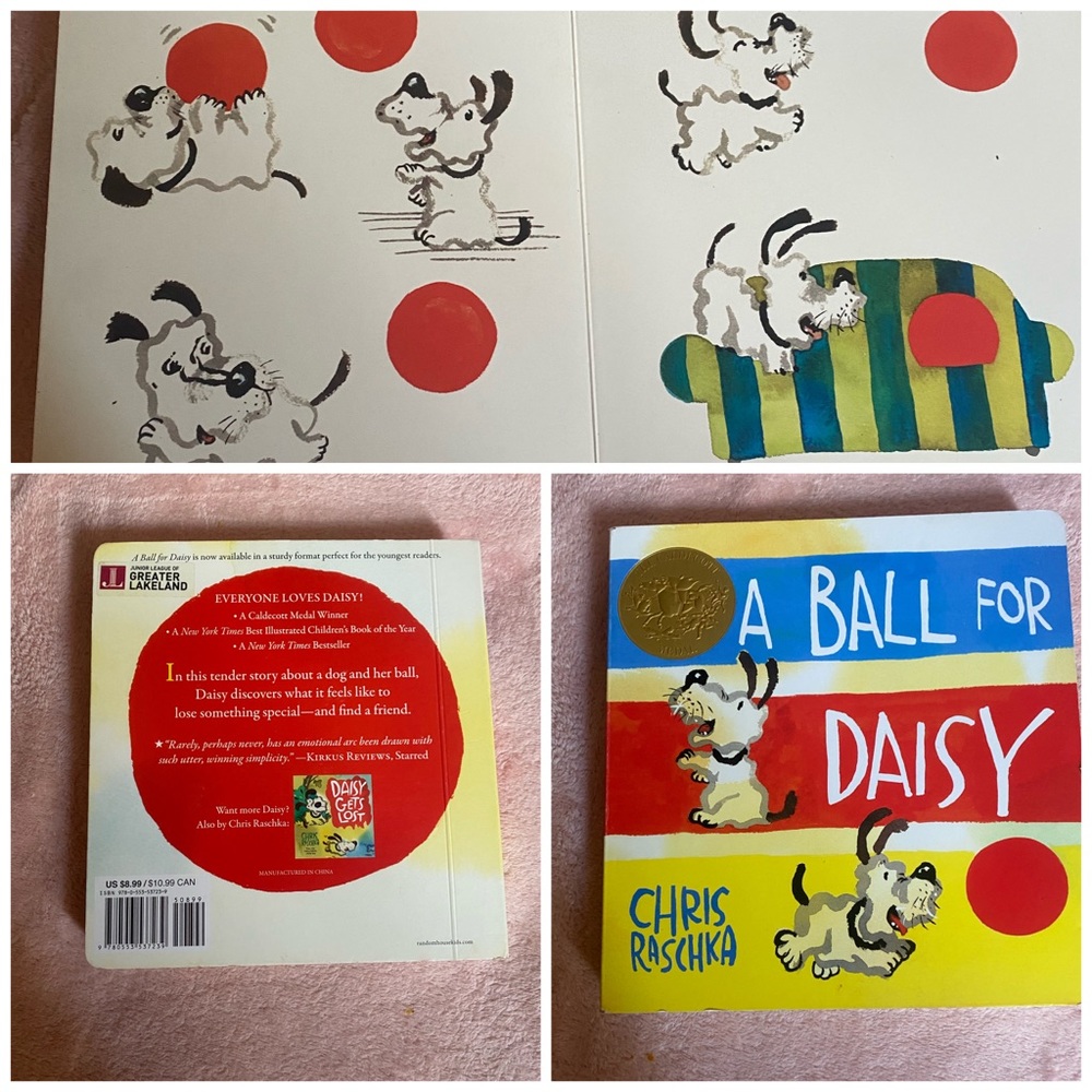 Book: A ball for daisy